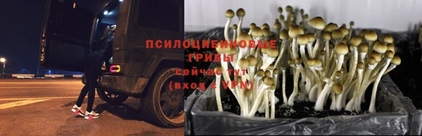 твердый Армянск