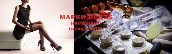 кокс Гатчина