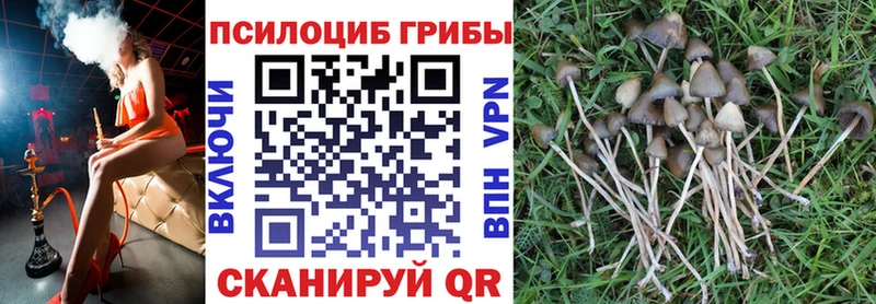 Псилоцибиновые грибы прущие грибы  Краснослободск 